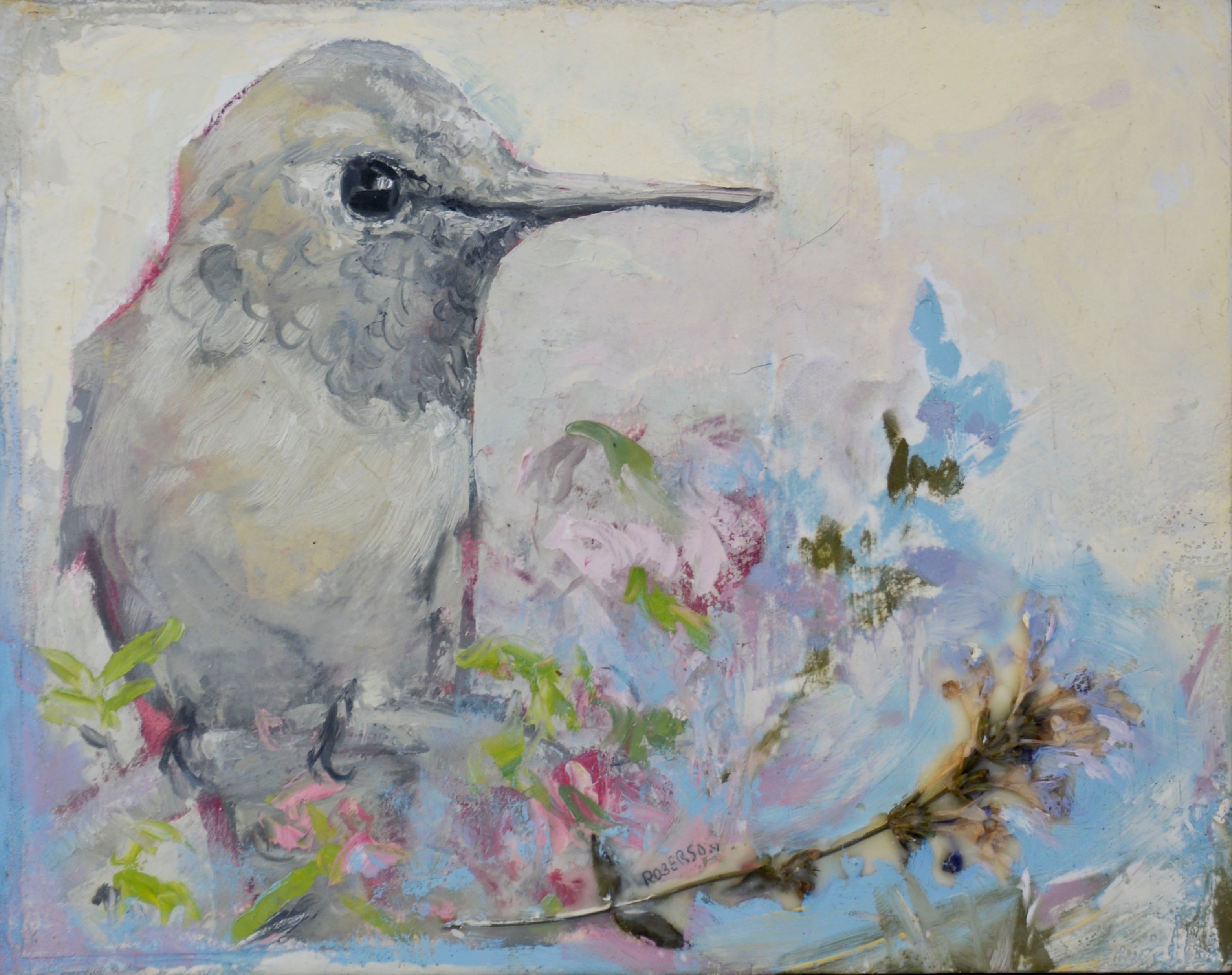 Blue Garden-Hummingbird Considered