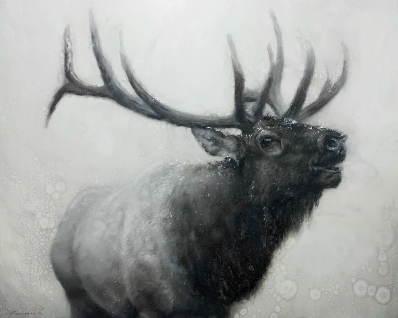 DAVID FREDERICK RILEY | GOSSAMER VISIONS
