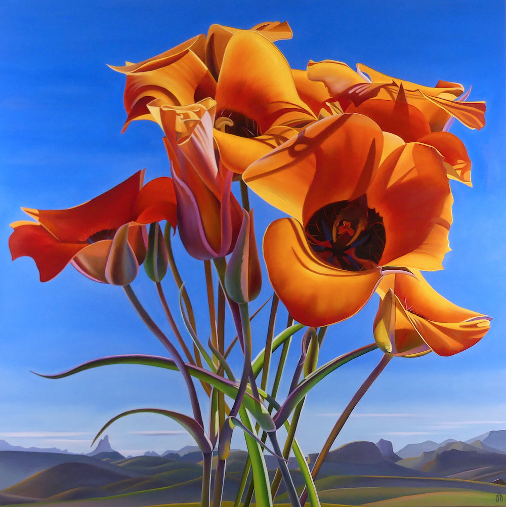 Dyana Hesson | Lessons From the Hilltop