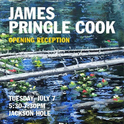 JAMES PRINGLE COOK | THE PAINTED IMAGE