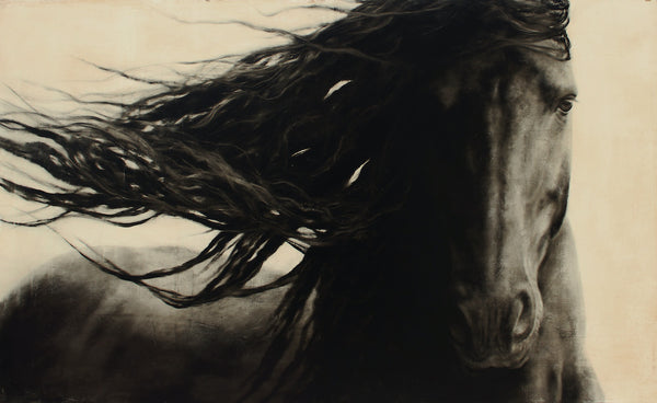 DarkHorse48x80_grande.jpg?v=