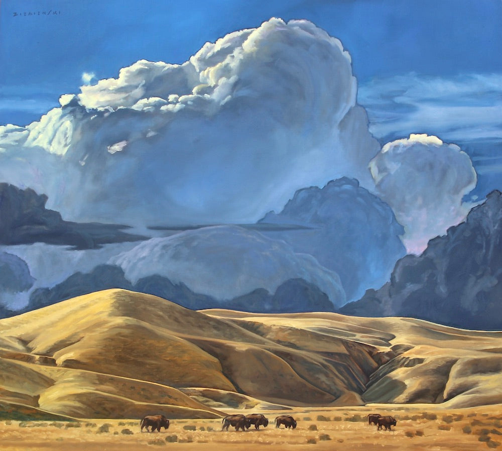 Where the Buffalo Roam