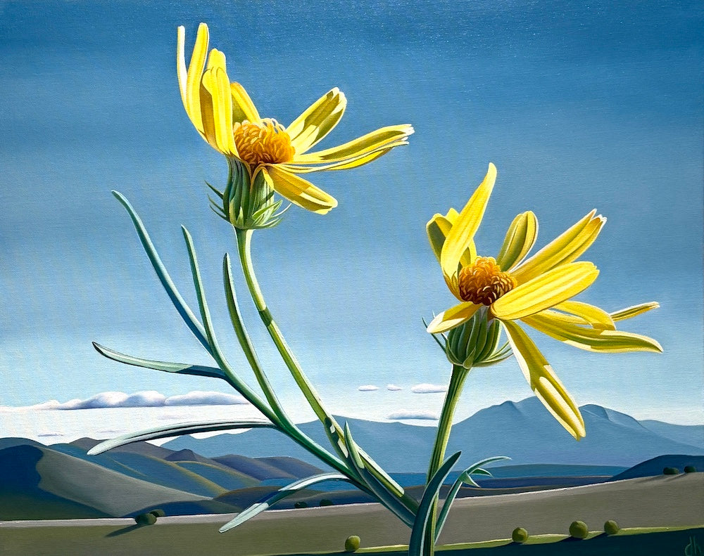 The Company You Keep- Threadleaf Ragwort and Mountains near Gisela, AZ
