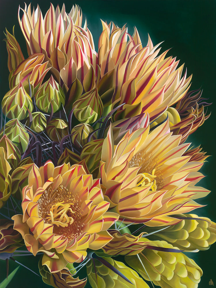 I Love Flowers. Don’t You? Golden Barrel Cactus