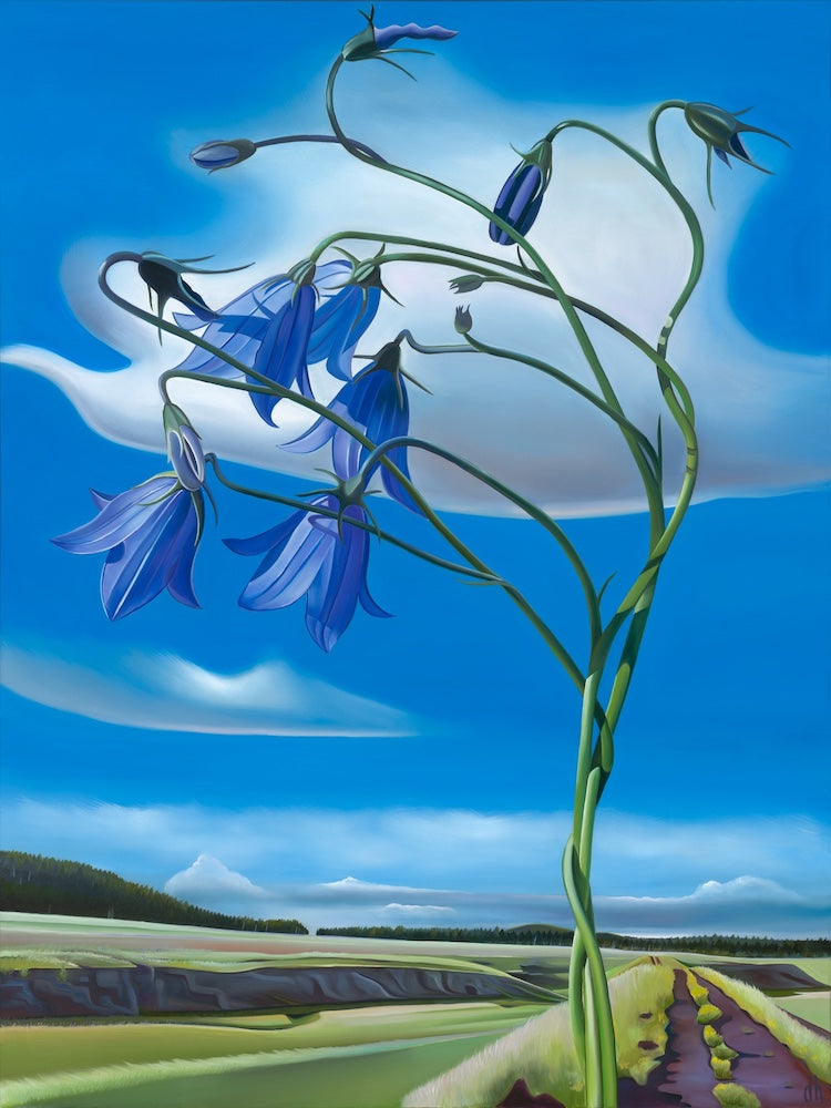 The Land of Grass and Flowers- Bellflowers and Railroad Grade at Benny Creek