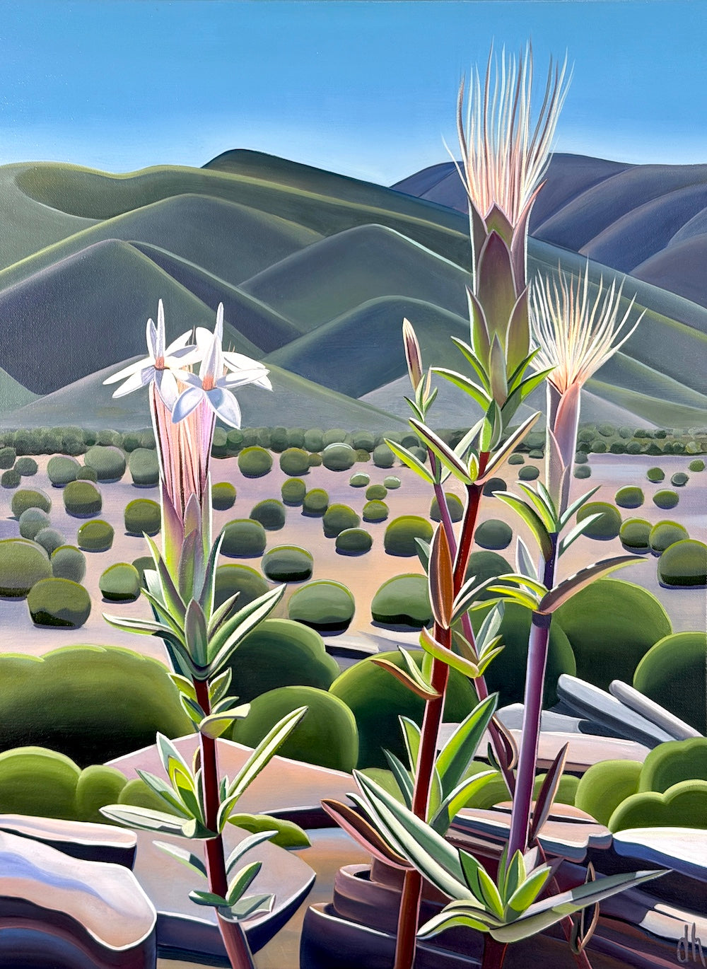 On Rocky Slopes