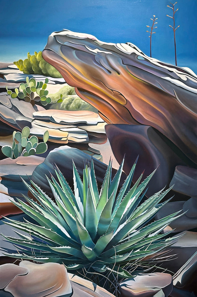 Shelter Agave- Opuntia, and Inflorescence, Spanish Ruins