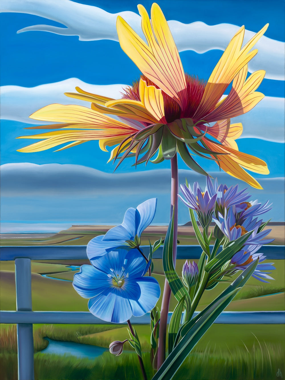 Summer In Wyoming - Blanket Flower, Alpine Flax and Aster; CL Bar Ranch, Cora, Wyoming