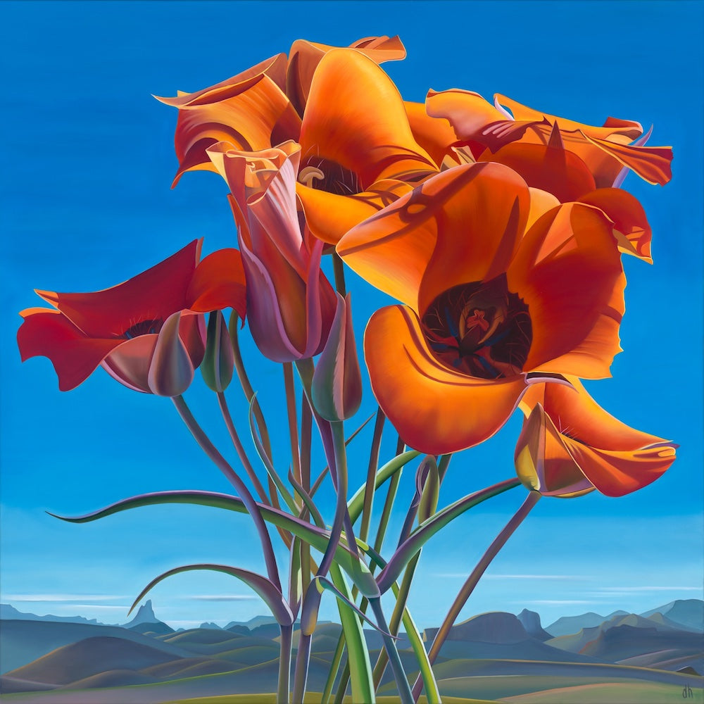Hidden Treasure- Mariposa Lilies, Weavers Needle, Superior, AZ
