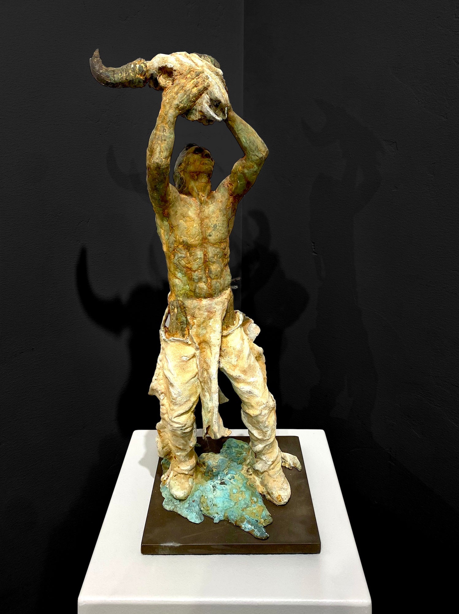 Buffalo Medicine #17/33