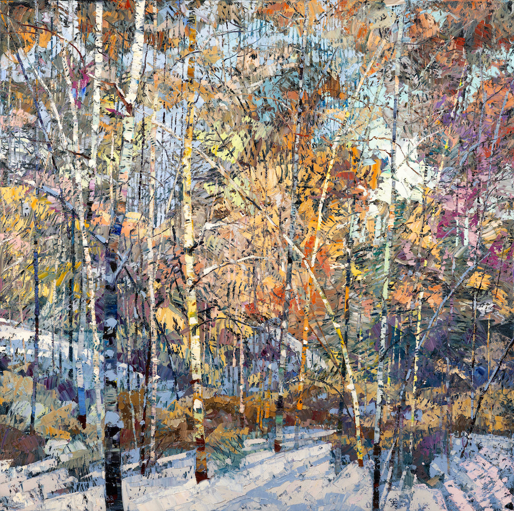 Vibrant forest scene with slender birch trees and colorful autumn foliage casting long shadows over a snow-covered forest floor.