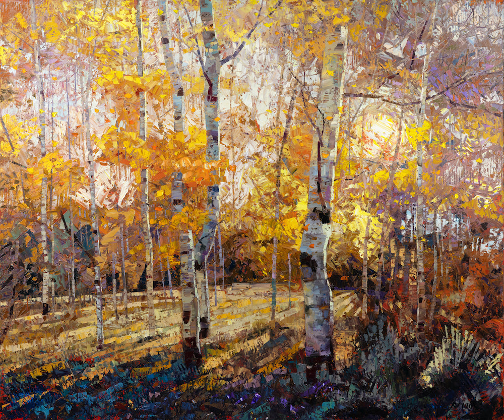 Sunlight filters through golden aspen trees in a vibrant forest, casting deep shadows and dappled light across a textured woodland floor.