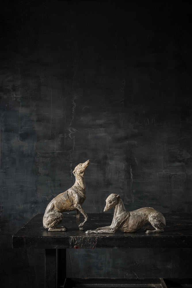 Bijou (Seated), 9/21