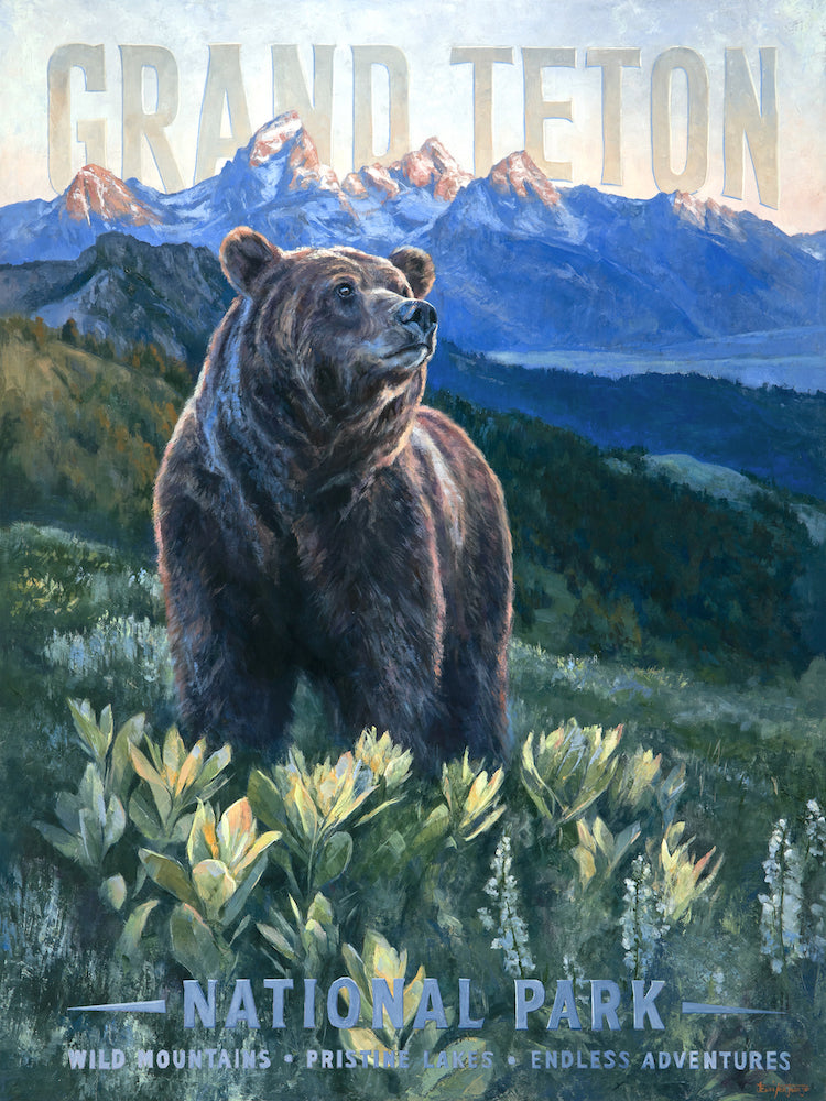 Grand Teton Grizzly
